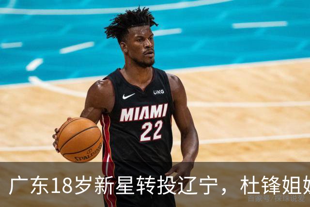 广东18岁新星转投辽宁，杜锋姐姐当选篮协副会长，2后卫试训新疆，广厦外援接受归化