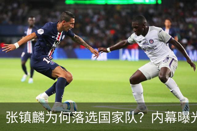 张镇麟为何落选国家队？内幕曝光，叫人心疼，郭士强并没放弃他