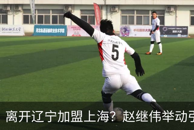 离开辽宁加盟上海？赵继伟举动引猜想，卢伟表态有深意 1队更合适